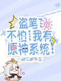 盜筆？不怕！我有原神系統！