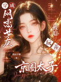 穿成網戀女友，被迫玩弄京圈太子