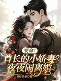 要命！首長的小嬌妻夜夜鬧離婚