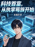 科技首富，從執掌莓族開始