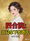 四合院：開局拿下婁譚氏
