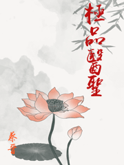 極品醫聖