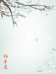 別惹黑蓮花O[穿書]