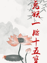 兔妖一胎十五寶