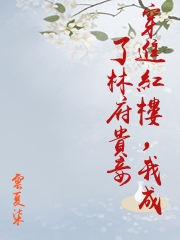 穿進紅樓，我成了林府貴妾