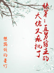 快穿：直男宿主的大佬又瘋批了