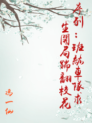序列：班級車隊求生開局踹翻校花