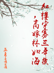 紅樓守寡三年後，高嫁林如海