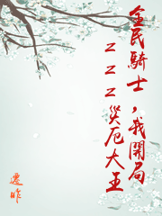 全民騎士，我開局zzz災厄大王