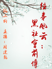 往事風云：黑社會前傳