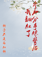 參加分手綜藝后我翻紅了