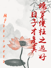 魂穿傻柱之過好日子才是真