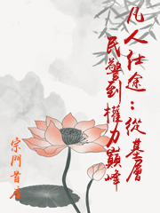 凡人仕途：從基層民警到權力巔峰