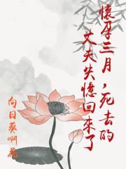 懷孕三月，死去的丈夫失憶回來了