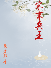 宋末兵王