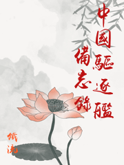 中國驅逐艦備忘錄