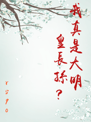 我真是大明皇長孫？