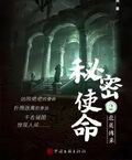 秘密使命2：北美搏殺