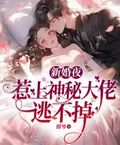 新婚夜，惹上神秘大佬逃不掉