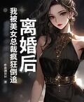 離婚後，我被美女總裁瘋狂倒追