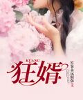 狂婿（豪婿）